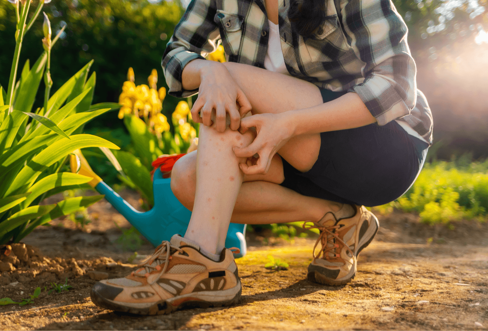 person bending down scratching bites on leg