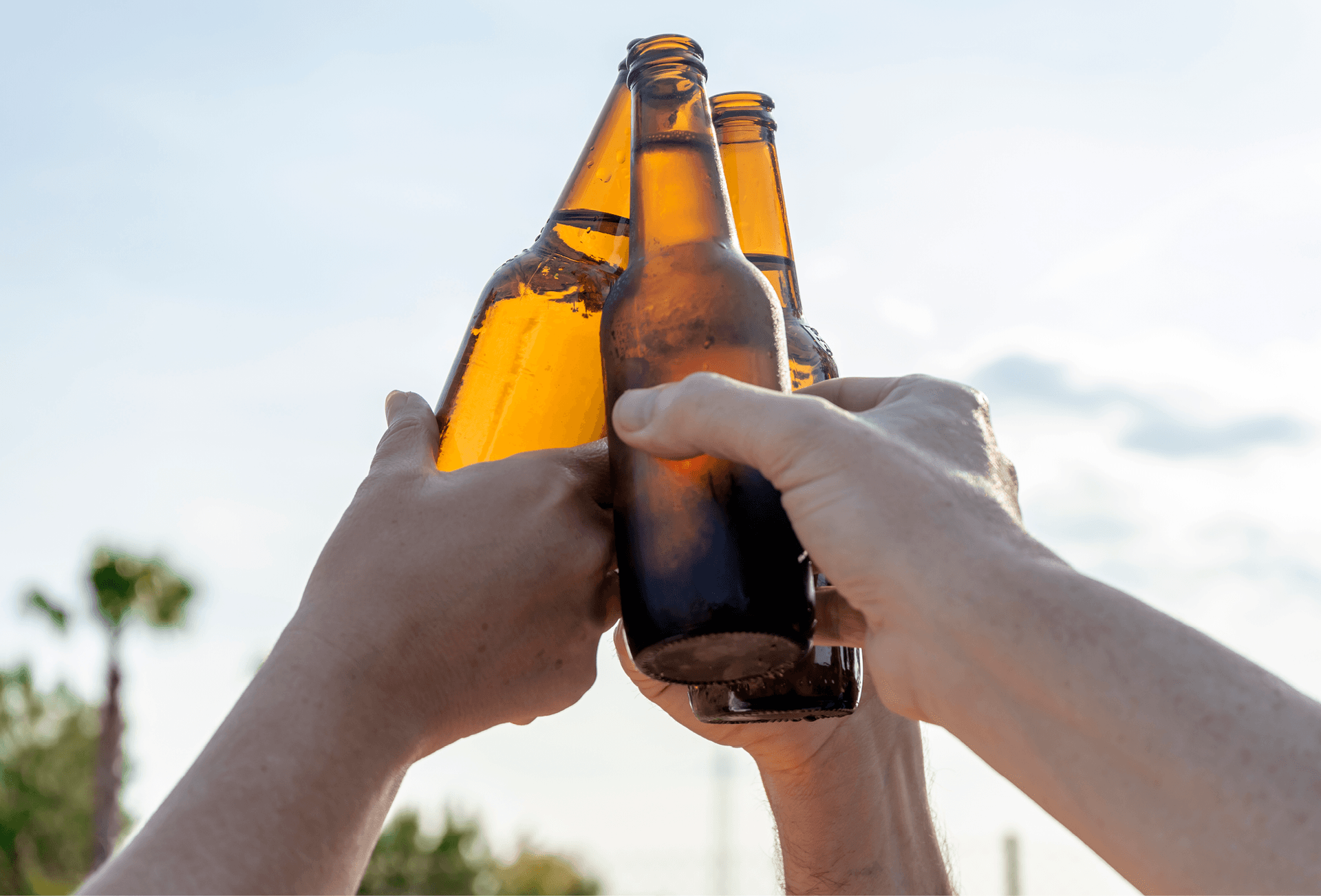 group cheers with beer bottles in the sunshine