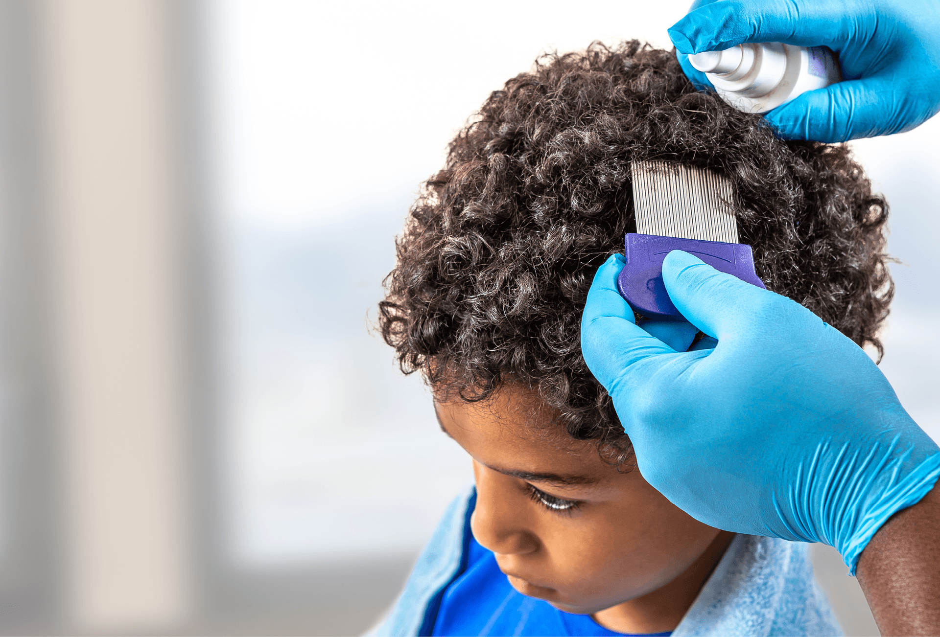 child getting head checked for lice
